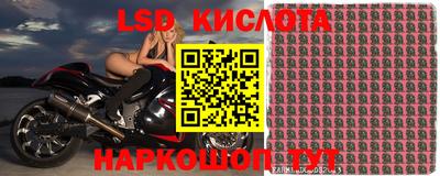 стаф Новозыбков