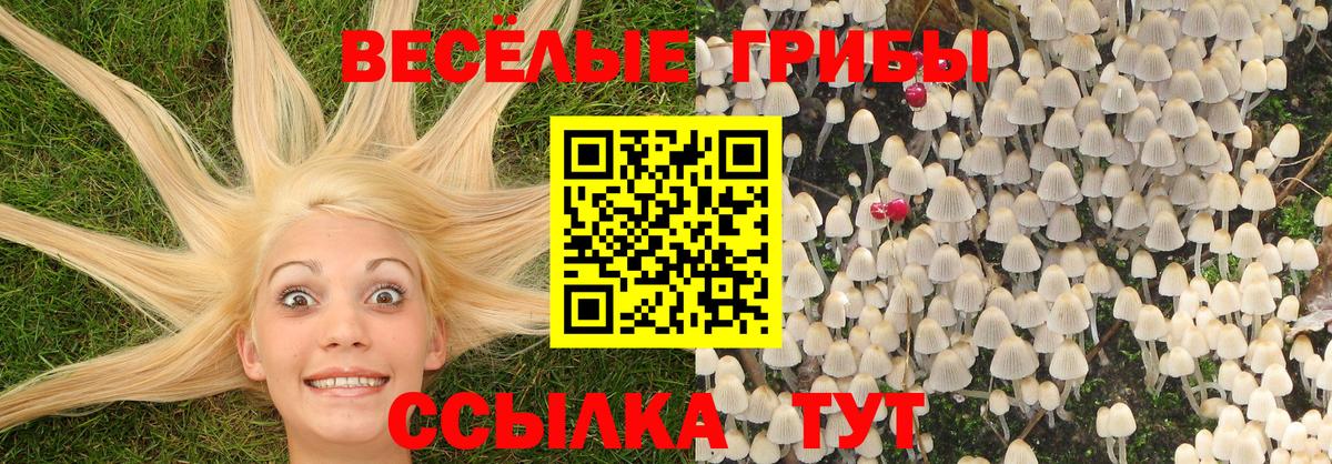 Псилоцибиновые грибы Magic Shrooms  магазин  наркотиков  Тобольск  Вход с VPN 