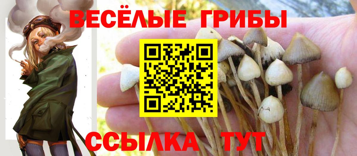 Псилоцибиновые грибы прущие грибы Тобольск
